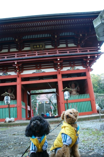 b0140347_12105297.jpg