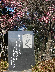 e0172950_8232113.jpg