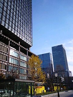 a0138458_940257.jpg