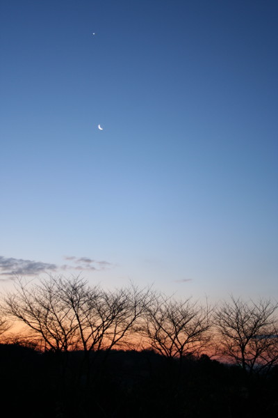 b0092958_733318.jpg