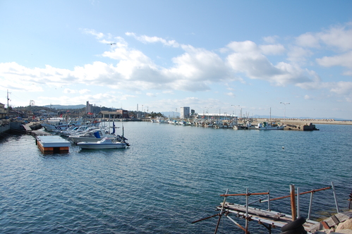 c0108460_1582317.jpg