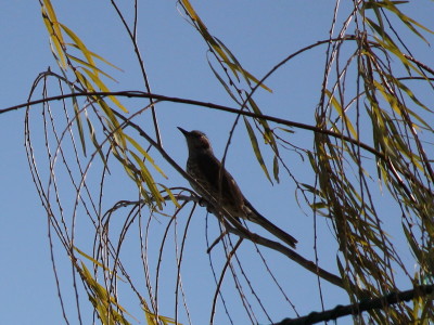 b0158061_22131510.jpg