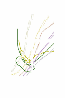 a0134863_18194652.gif