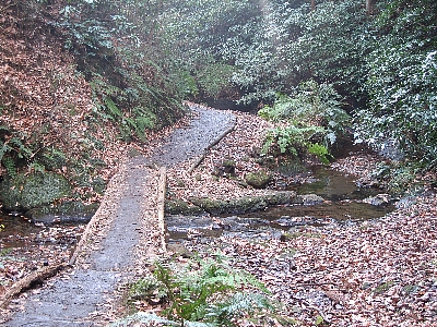 f0179663_21432366.jpg