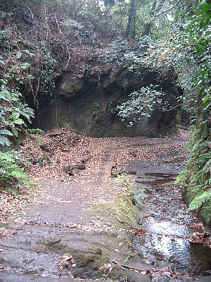 f0179663_21433674.jpg
