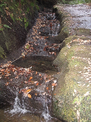 f0179663_214631100.jpg