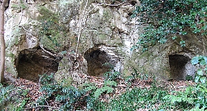 f0179663_21532310.jpg