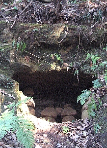 f0179663_21542161.jpg
