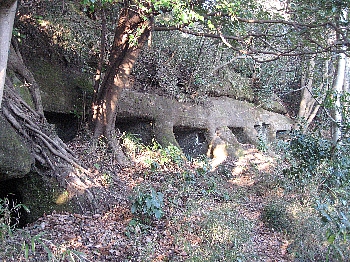 f0179663_21553599.jpg