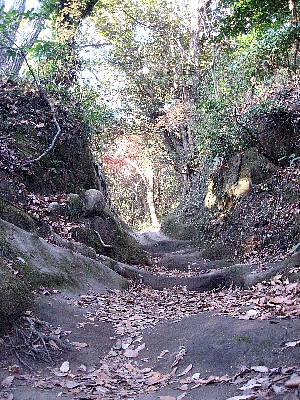f0179663_21585764.jpg