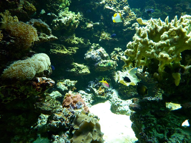 c0080075_2434166.jpg