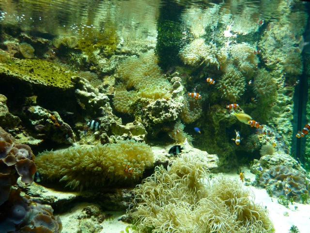 c0080075_2435421.jpg