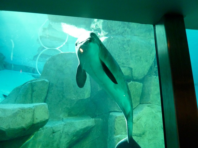 c0080075_245135.jpg