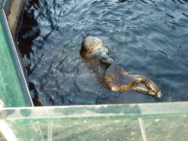 c0080075_2455330.jpg