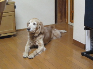 f0005081_189527.jpg