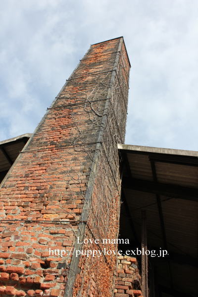 b0136683_22329.jpg