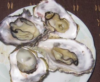 f0003283_1155877.jpg