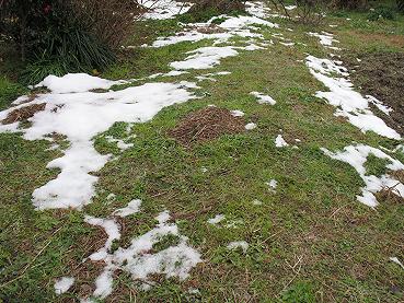 e0130185_12362319.jpg