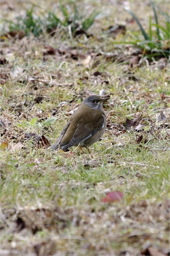 d0209988_18542100.jpg