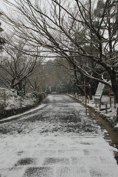 e0051888_21132511.jpg