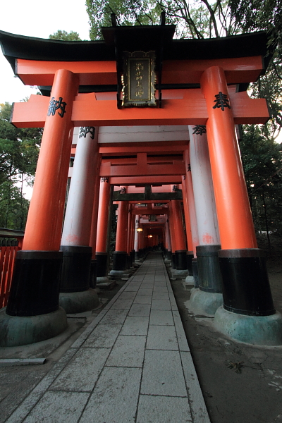 e0051888_522927.jpg