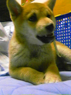 c0123890_2059584.jpg