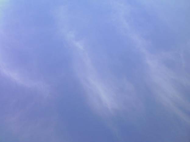 c0004193_10494866.jpg