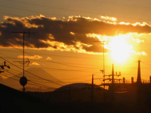c0004193_1641741.jpg