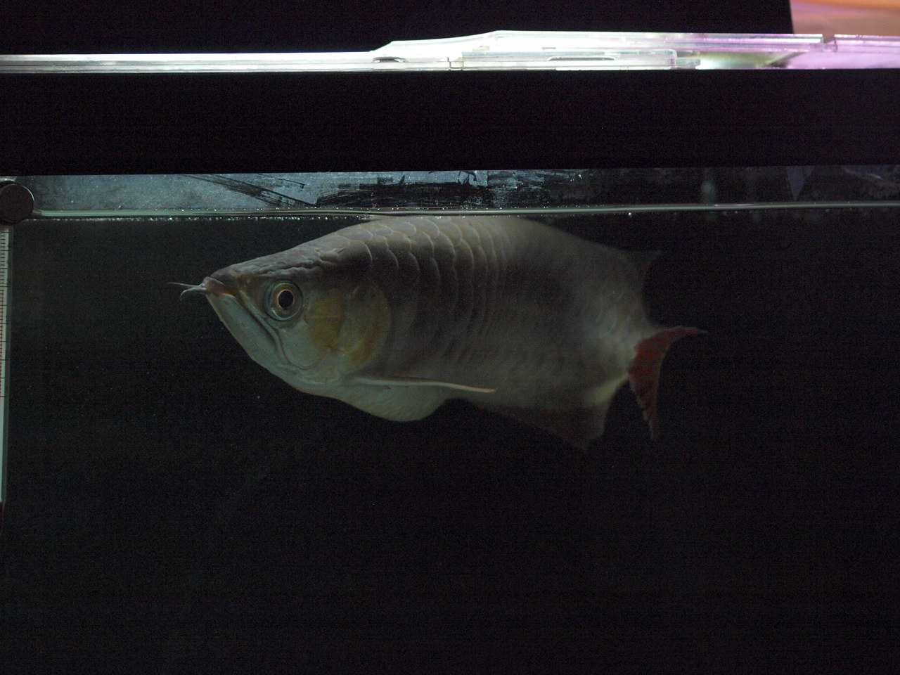 a0118297_0324694.jpg