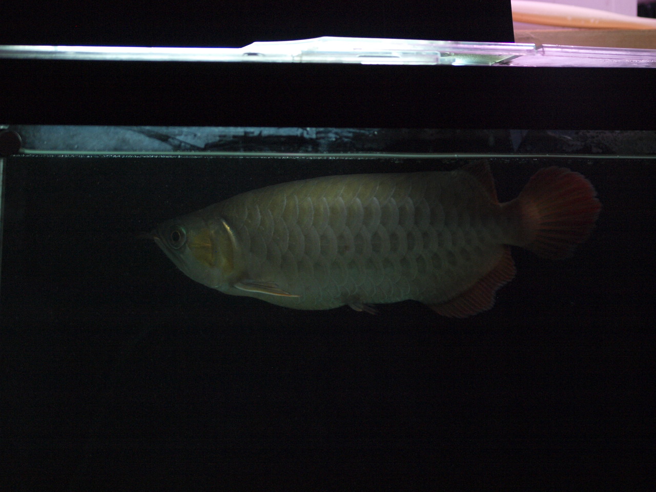 a0118297_033745.jpg