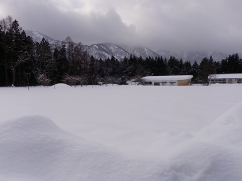 a0138198_16102577.jpg