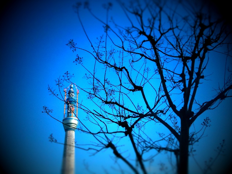 c0037400_0101790.jpg