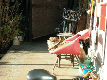 f0239100_15151742.jpg