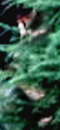 e0103408_18561514.jpg