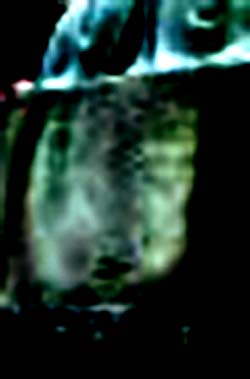 e0103408_19243043.jpg