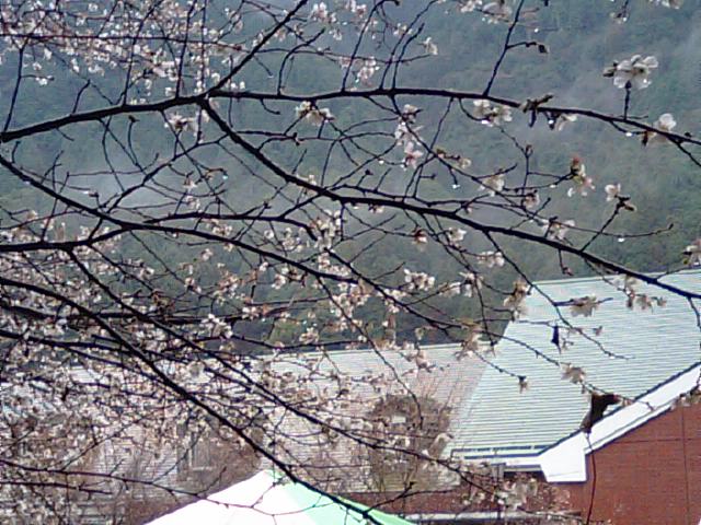 f0231709_16111921.jpg