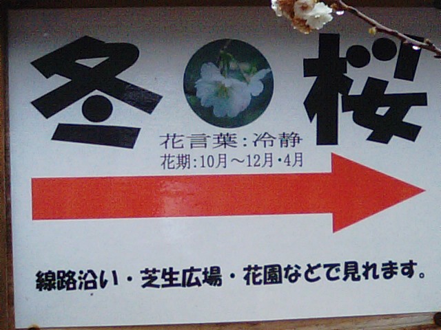 f0231709_16114862.jpg