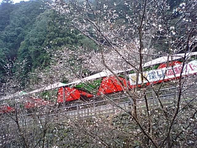 f0231709_1621948.jpg