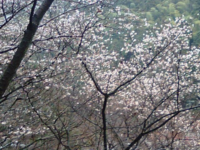 f0231709_168157.jpg