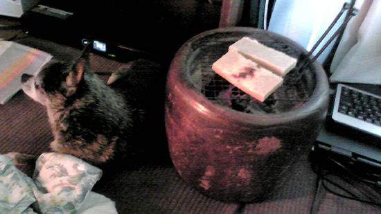 f0105810_0105888.jpg