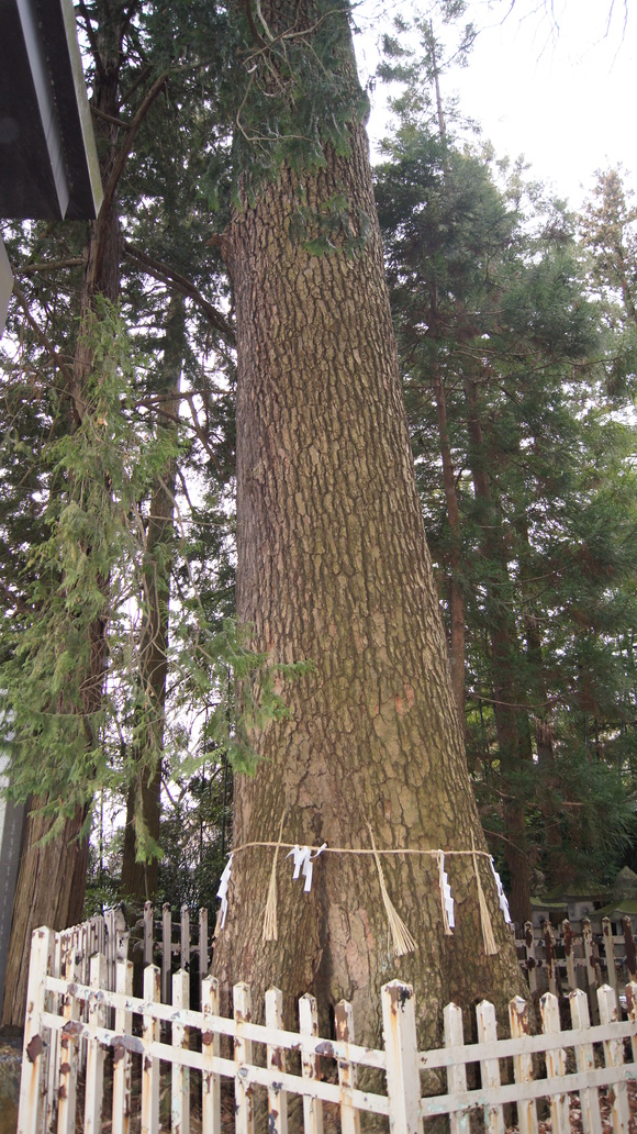 f0233414_2211697.jpg