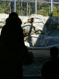 f0060424_185170.jpg