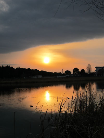 f0147025_2134376.jpg