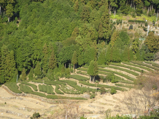 d0147727_2044137.jpg