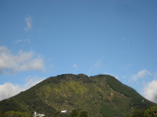 d0147727_2045034.jpg