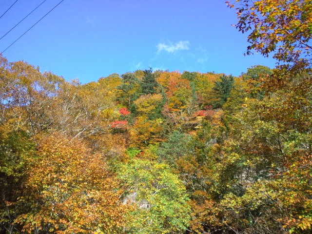 e0016828_1128693.jpg