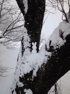 f0118332_1918862.jpg