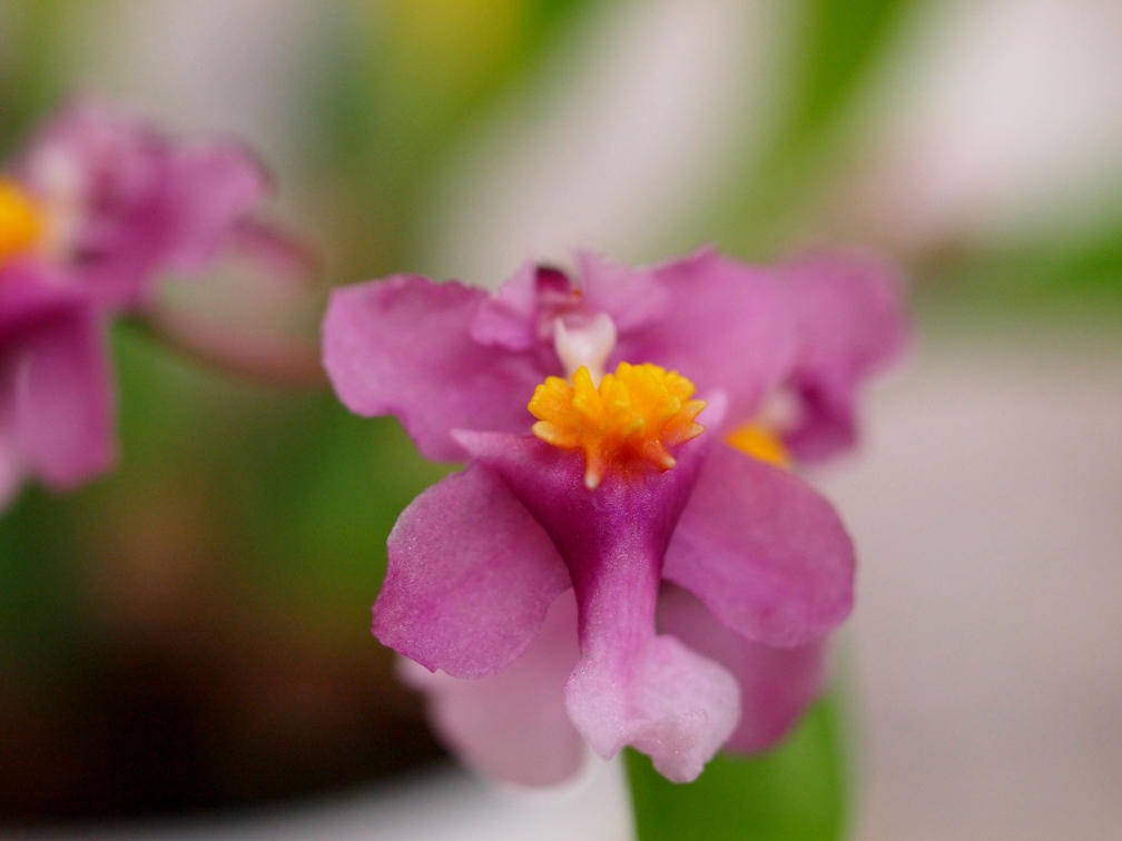 b0201233_2023655.jpg