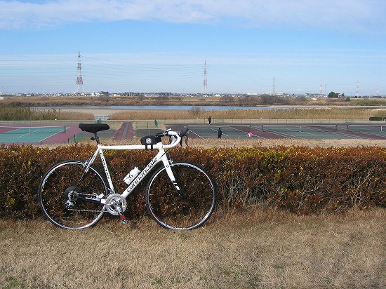 d0001533_02669.jpg