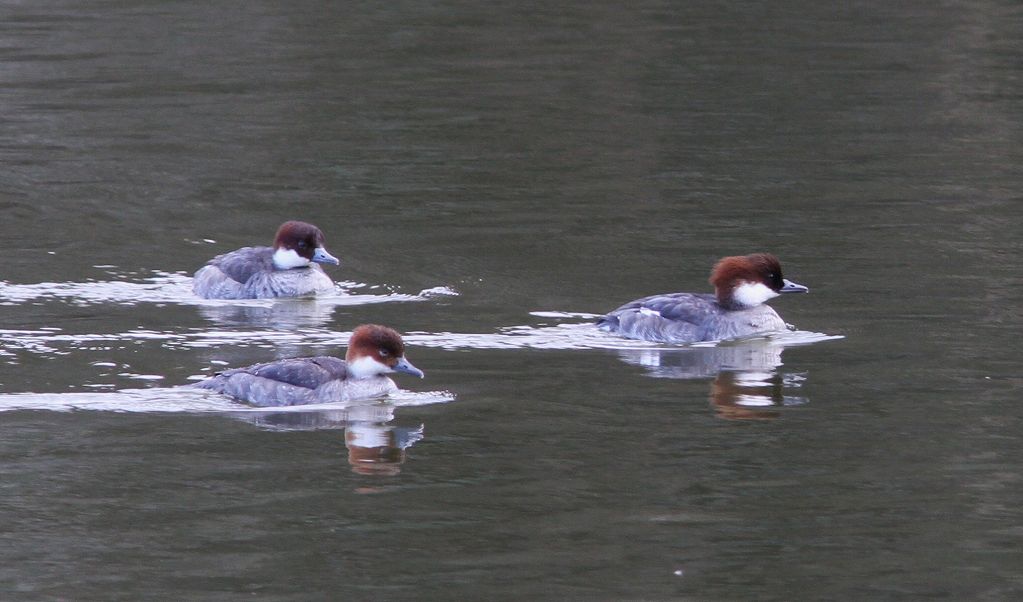 c0172139_047310.jpg